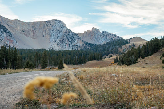 Meet trekNvibe: Your New Go-To for Adventure Gear, Coffee, and More!